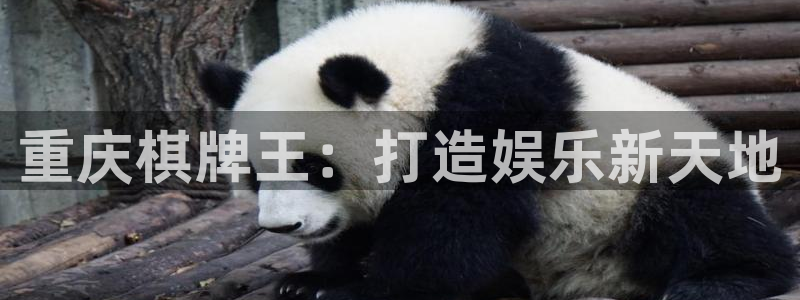 沐鸣娱乐2登录平台官网网址