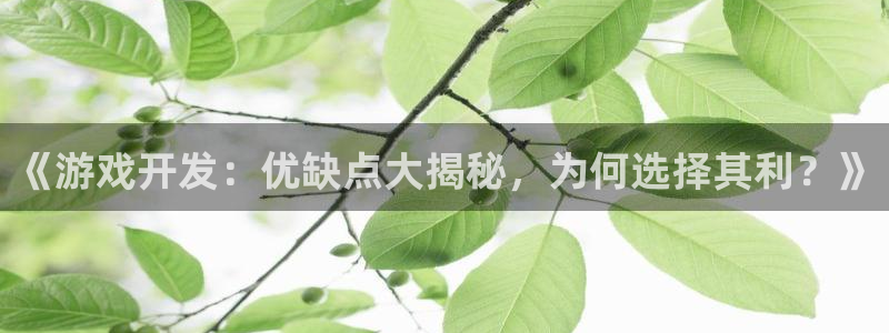 沐鸣2手机网页版：《游戏开发：优缺点大揭秘，为何选择其利？》