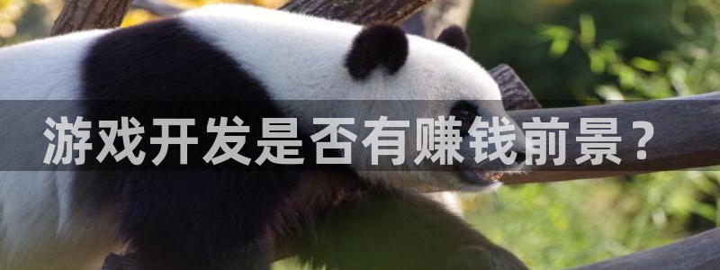 沐鸣2选 37OO735：游戏开发是否有赚钱前景？