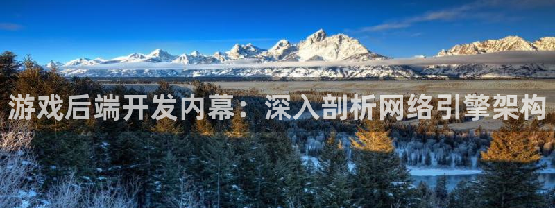 沐鸣2票35994度：游戏后端开发内幕：深入剖析网络引擎架构