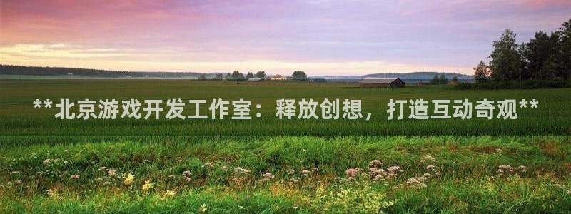 沐鸣娱乐2的分分彩：**北京游戏开发工作室：释放创想，打造互动奇观**