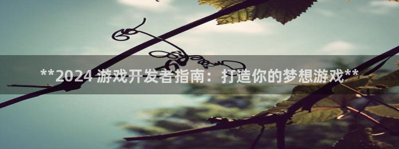 沐鸣2官方：**2024 游戏开发者指南：打造你的梦想游戏**
