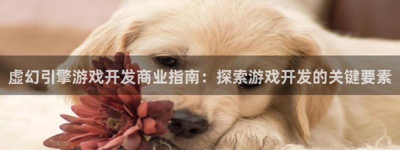 沐鸣2平台招商：虚幻引擎游戏开发商业指南：探索游戏开发的关键要素