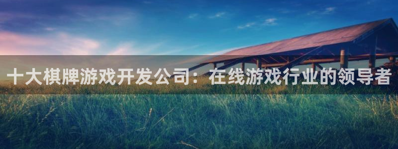 沐鸣2代理求27337：十大棋牌游戏开发公司：在线游戏行业的领导者