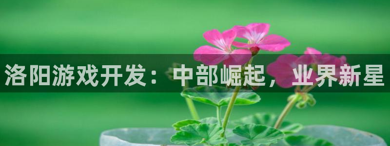 沐鸣2联盟